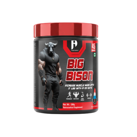 BIG BISON